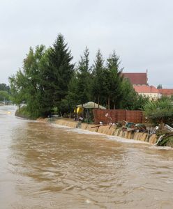 Koń we wzburzonym nurcie. Płynął z Czech