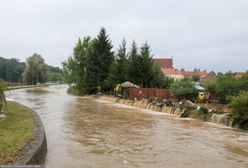 Koń we wzburzonym nurcie. Płynął z Czech