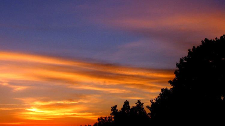 Panele solarne dla nocnych marków 1