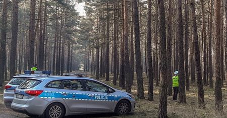 Makabryczne odkrycie w poznańskim lesie. Spacerowicze wezwali policję