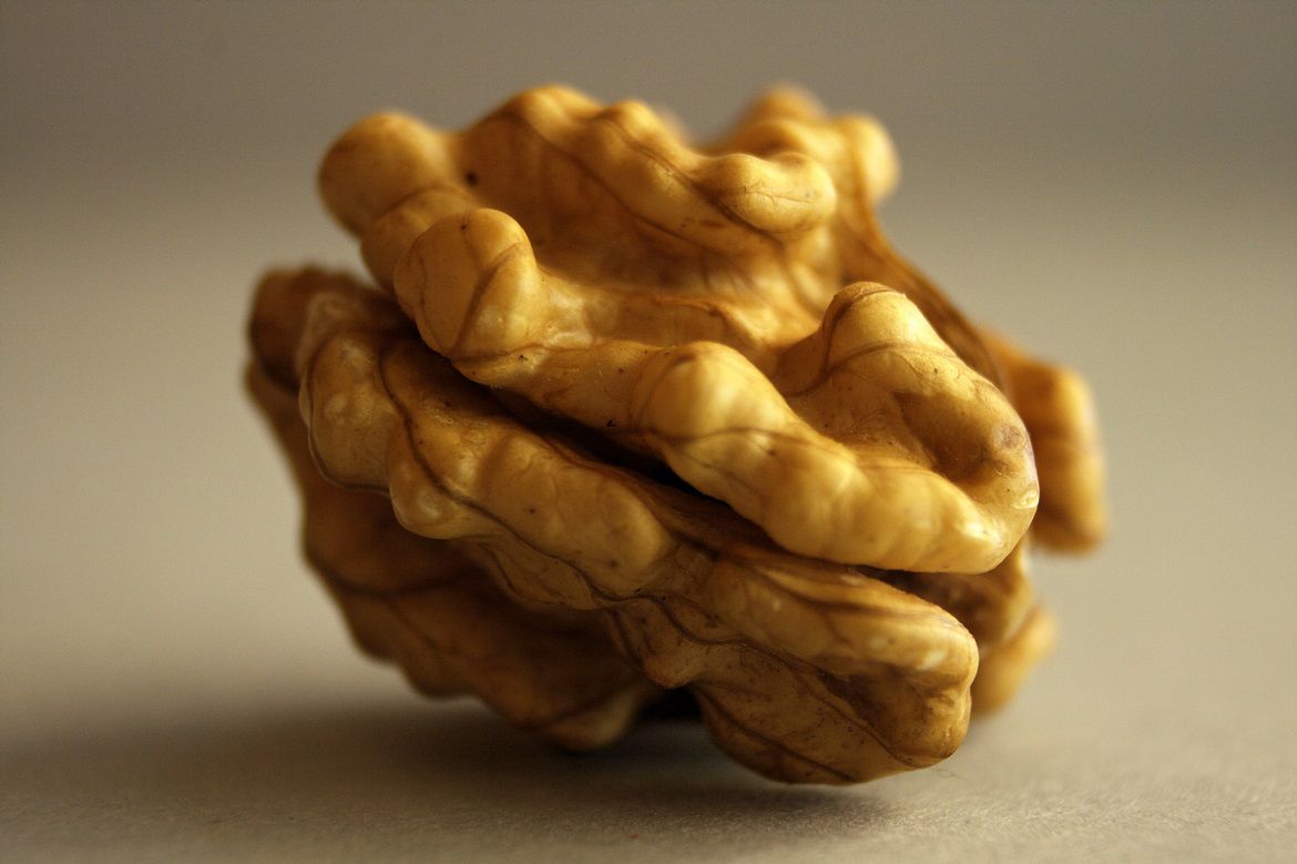 W naszej diecie nie powinno zabraknąć orzechów