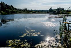 Burmistrz się cieszy, społecznicy ostrzegają. Powstaje "hotel-gigant"