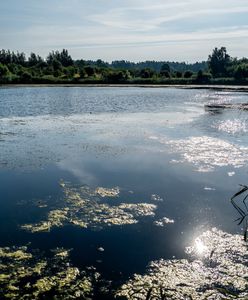Burmistrz się cieszy, społecznicy ostrzegają. Powstaje "hotel-gigant"