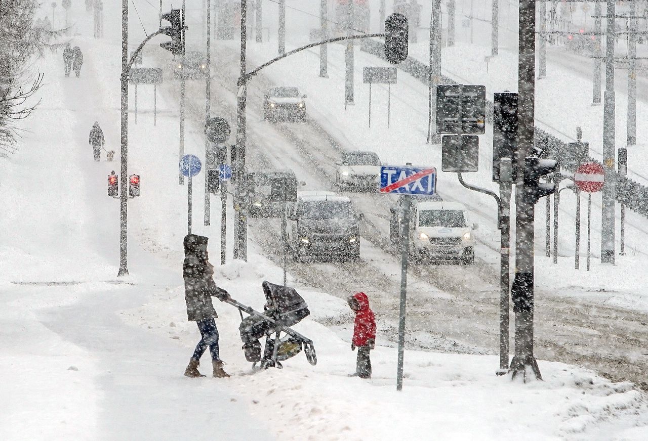 Pogoda. Silna wichura z wiatrem do 100 km/h zbliża się do Polski. Alerty dla wszystkich województw