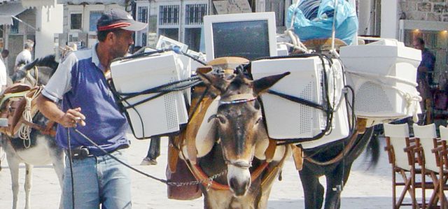 W izraelskim parku tematycznym Internet dostarczają osły 2