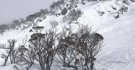 Klimat szaleje. Nowe zdjęcia z Australii. Zobacz, co tam się dzieje z pogodą