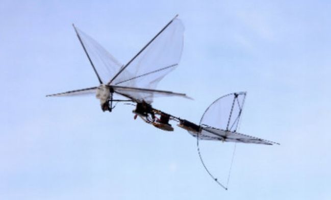 IAI Butterfly – roboinsekt z Izraela [wideo]