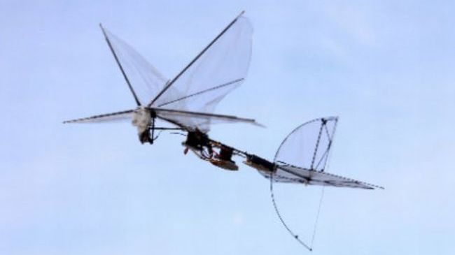 IAI Butterfly – roboinsekt z Izraela [wideo] 1