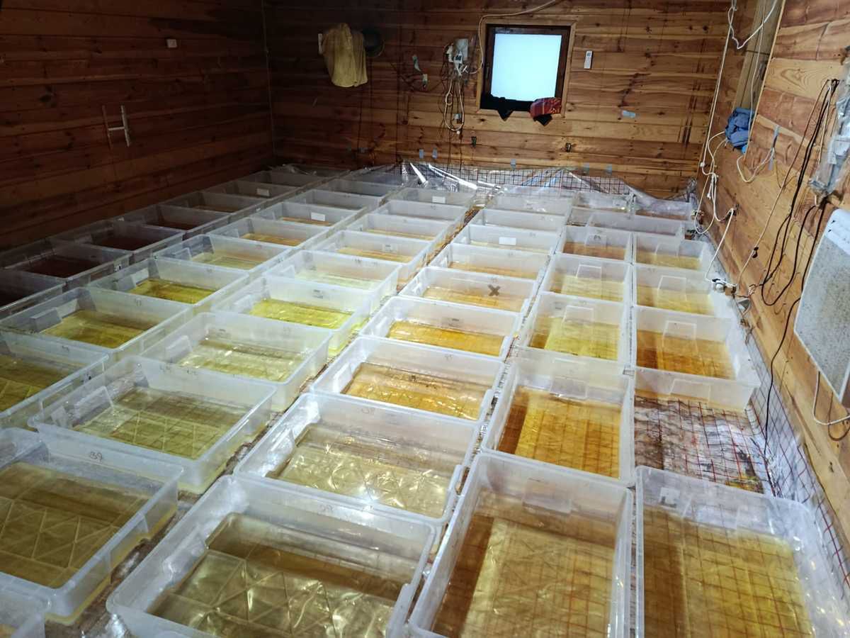 Największe laboratorium metamfetaminy na Podlasiu rozbite. 720 kg "kryształu" wartego 36 milionów złotych i trzy osoby w areszcie