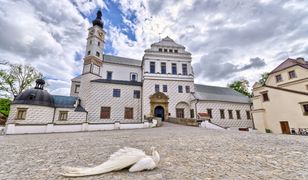 Czechy na weekend. Pardubice – miasto koni i pierników niedaleko Polski