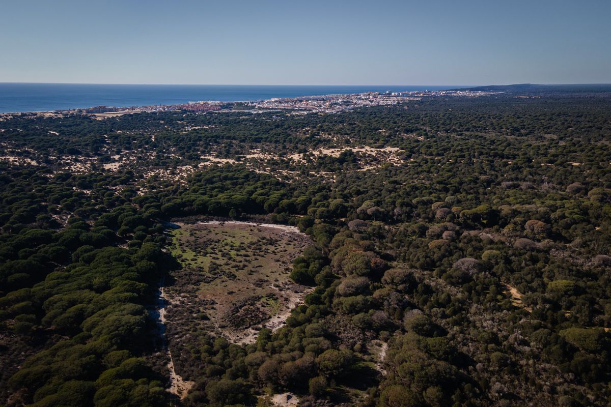 Widok na Park Narodowy Doñana