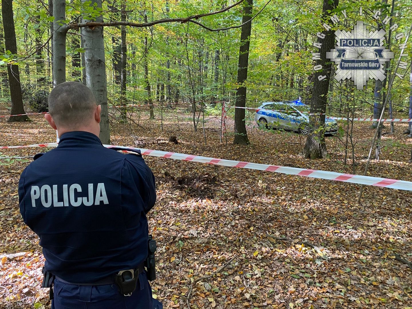 Chodził po parku z wykrywaczem metali. Nagle natrafił na coś dziwnego