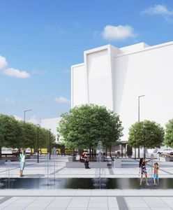 Gliwice. Drzewa odmienią centrum miasta