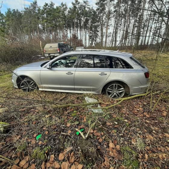 Regionalna Dyrekcja Lasów Państwowych w Szczecinie