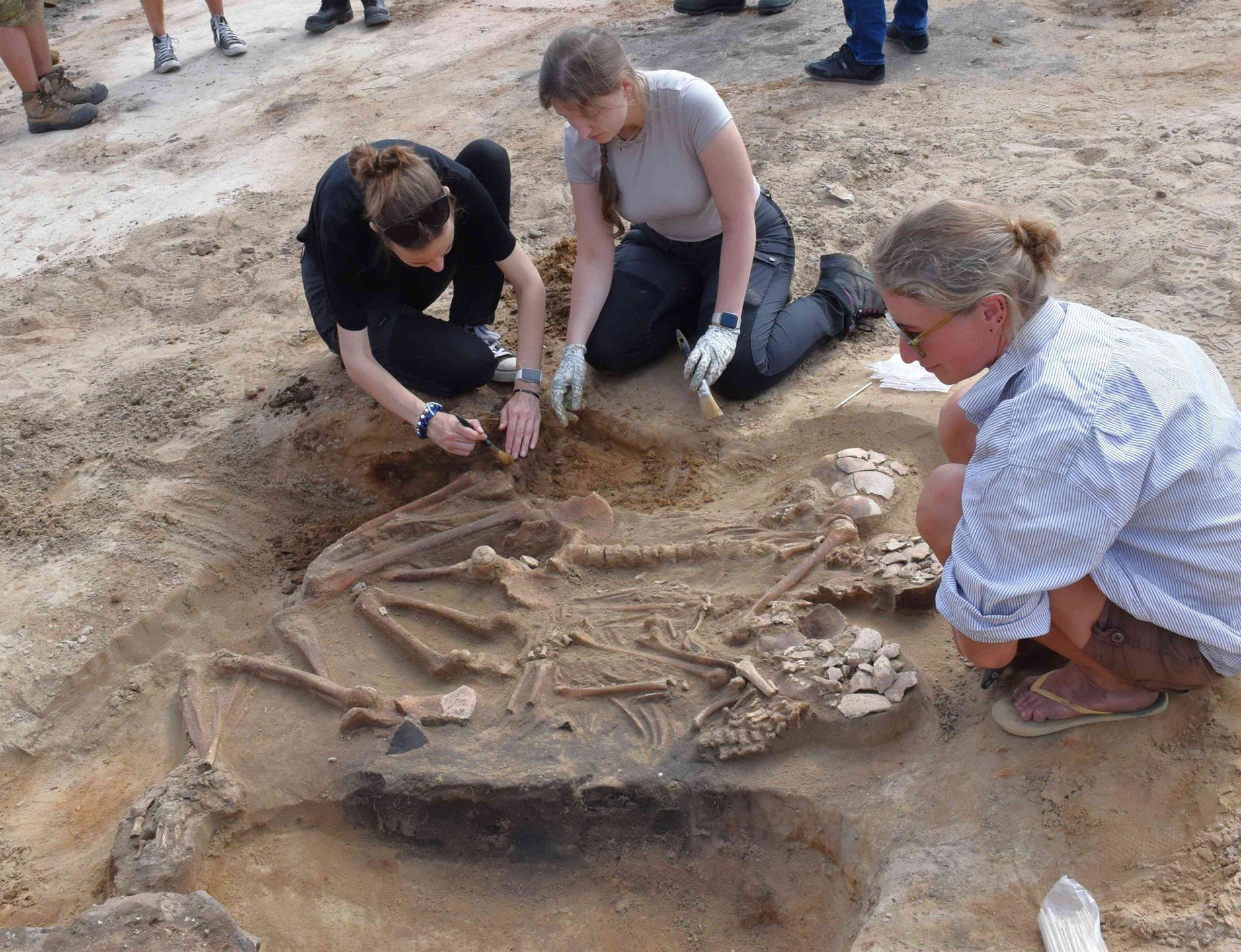 Niecodzienne odkrycie w Orłowie. Zbiorowy pochówek mezolityczny sprzed 8-9 tysięcy lat