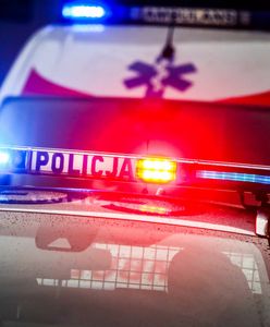 Tragiczna szarpanina na drodze. Uczestnik bójki pchnięty pod jadące auto