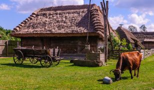 Na wieś idzie rewolucja. Ma wzmocnić sołtysów