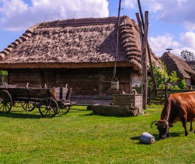 Na wieś idzie rewolucja. Ma wzmocnić sołtysów