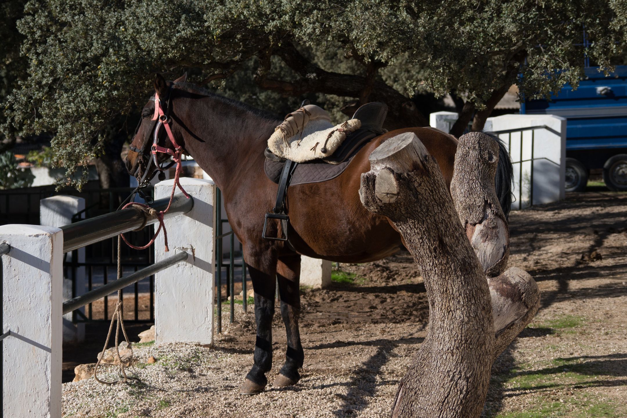 Olympus OM-D E-M1 Mark II - najszybszy na rynku [test] 141