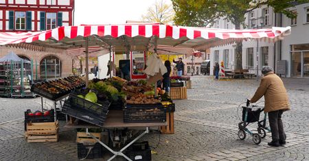 Koszty życia w Niemczech. Oto ile wynoszą