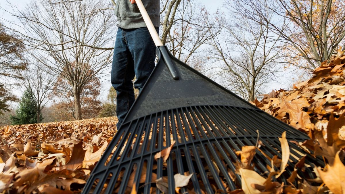 Mandat za palenie liści na działce? Zamiast się narażać, lepiej 