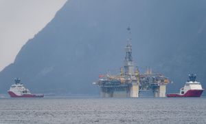 Łamanie praw pracowniczych Polaków w Norwegii. "Nie mieliśmy świadomości"