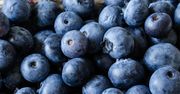 Nie wszyscy powinni jeść borówki. Tym osobom mogą poważnie zaszkodzić