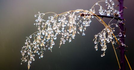 Pogoda na Święto Niepodległości i długi weekend. Wieści wprost z IMGW