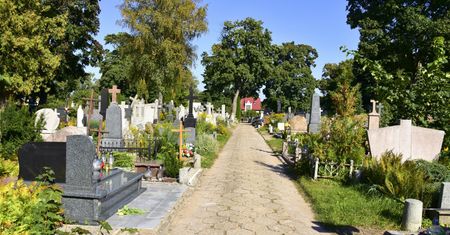Płońsk. Makabryczne odkrycie na cmentarzu, znaleziono zwłoki noworodka