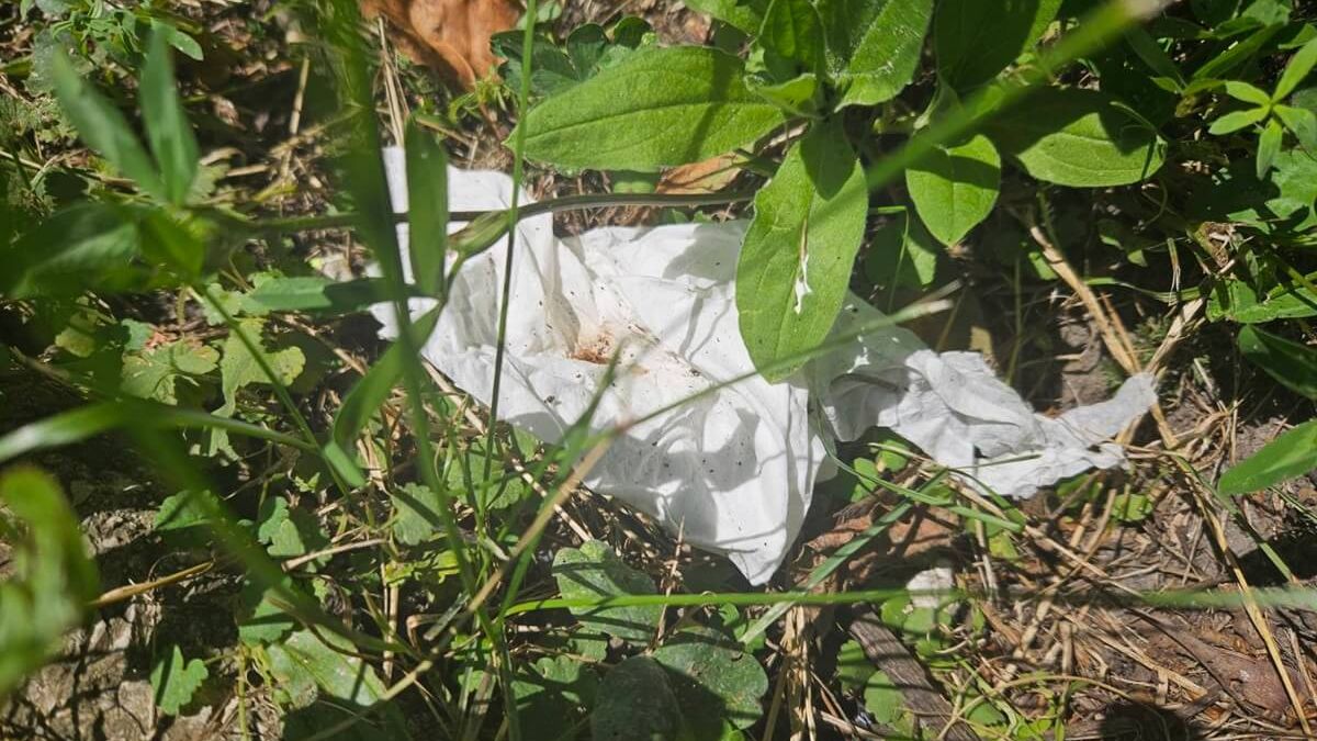 Odchody owinięte w papier toaletowy na trawniku