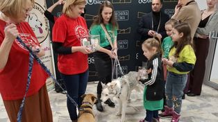 Lublin: Łączy ich miłość do muzyki i zwierząt. Prawnicy i medycy zagrają dla bezdomniaków