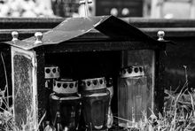 Fot. unsplash