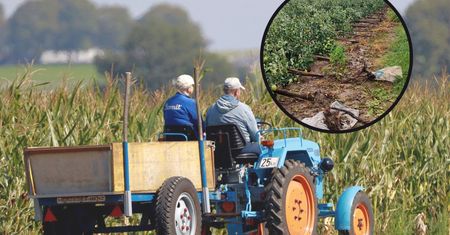 Rolnik pokazał sad po nawałnicy. "Jedna burza i 7 lat w plecy"