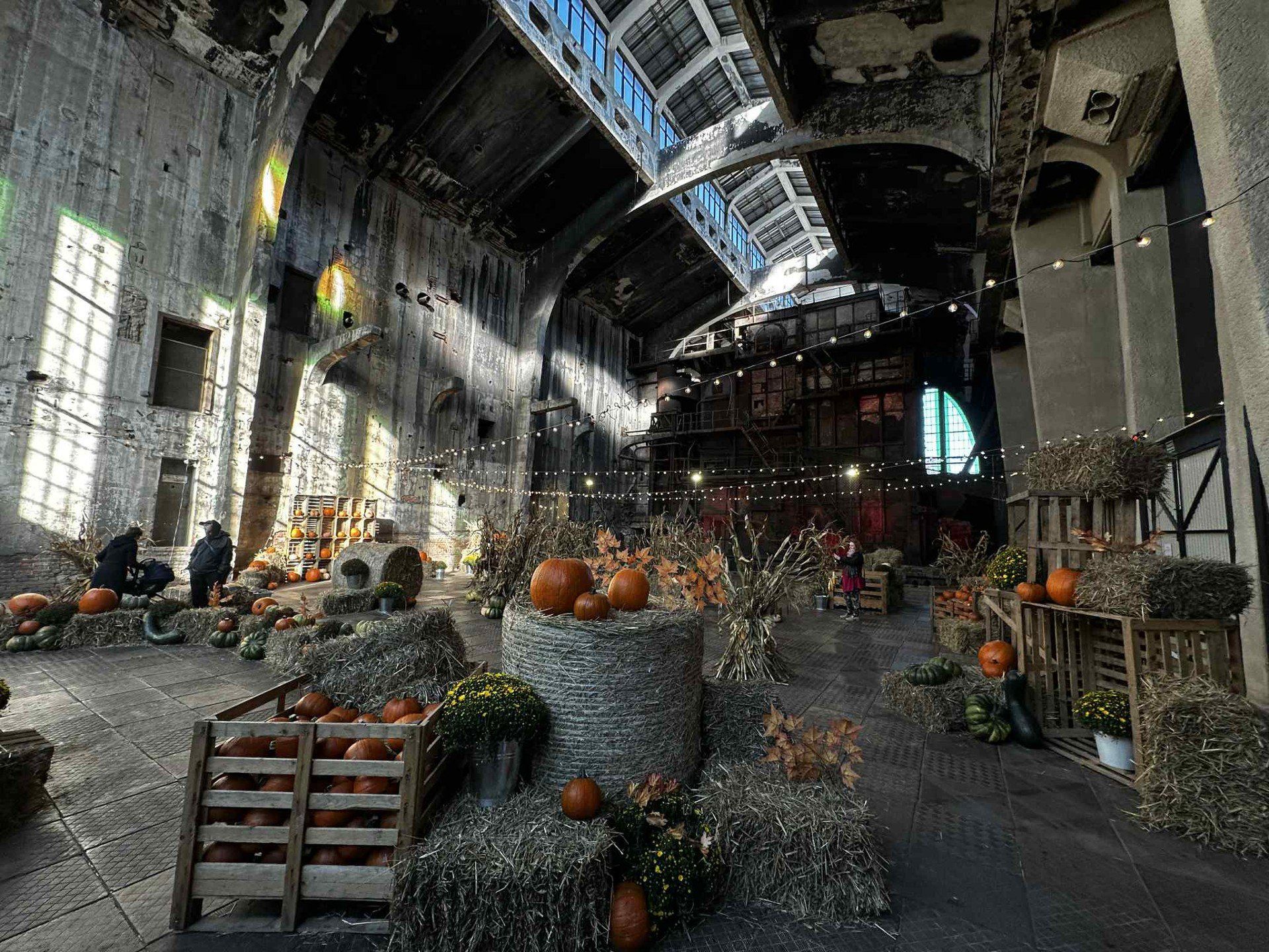 fuzja lodz, farma dyń, kotłownia