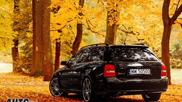 Zdjęcie ilustracyjne do artykułu