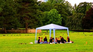 Park Doliny Białej Przemszy: Idealne miejsce na wiosenny spacer