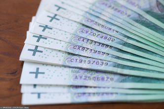 Likwidacja OFE. Rząd wciąż nie wie co z nimi zrobi