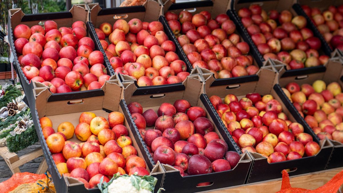 Poważne straty sadowników w Polsce 