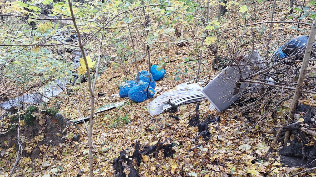 Leśnicy pokazali zaśmiecony las 