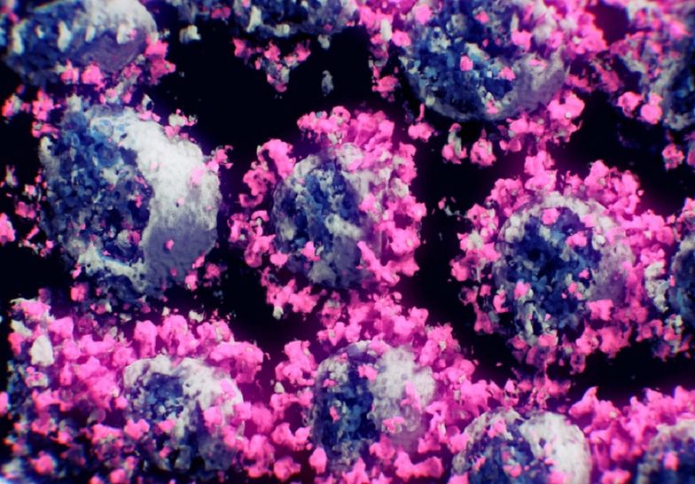 Jak naprawdę wygląda koronawirus? Udało się stworzyć pierwszy model 3D