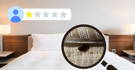 Pluskwy w hotelu? Oto sposób na ochronę turystów i reputacji obiektu!