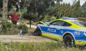 Wypadek policyjnego Mustanga. Wcześniej zabrano go pijanemu kierowcy