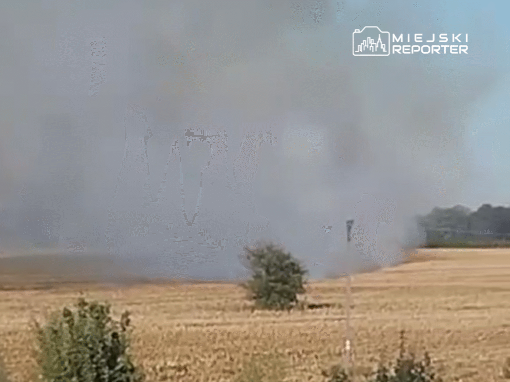 Na polu widać gęsty dym unoszący się nad spaloną ścianą zboża, w tle pojedyncze drzewa i niebo.