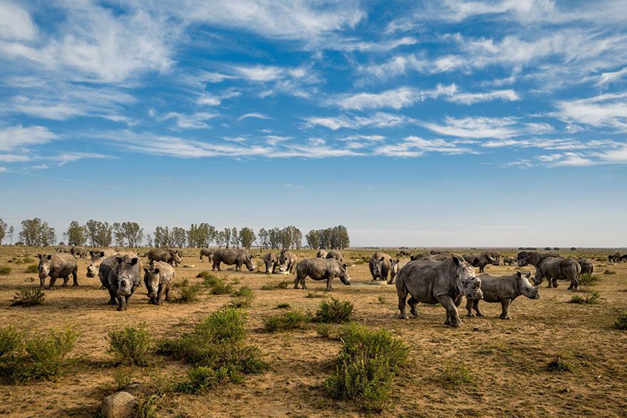 Oto najlepsze fotografie 2016 roku według magazynu National Geographic 34