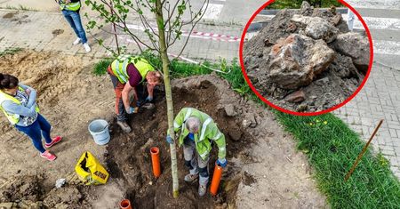 Chcieli zasadzić drzewa w Szczecinie. "Głębiej było tylko gorzej"