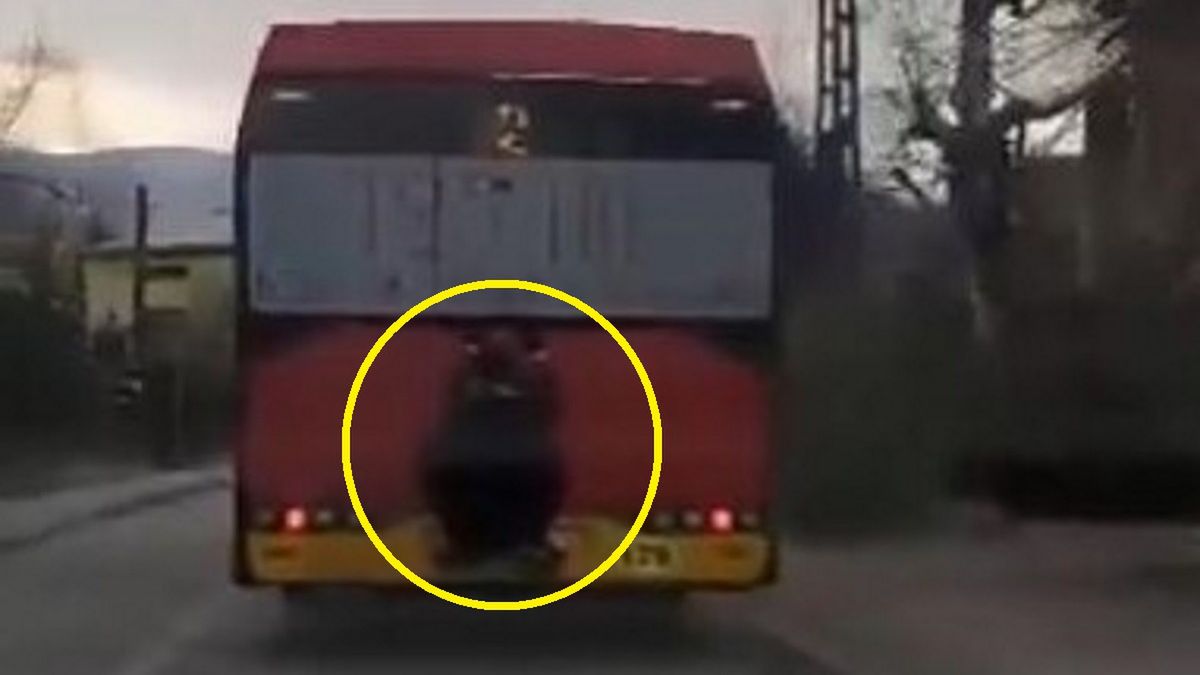 Pasażer stał na zderzaku autobusu