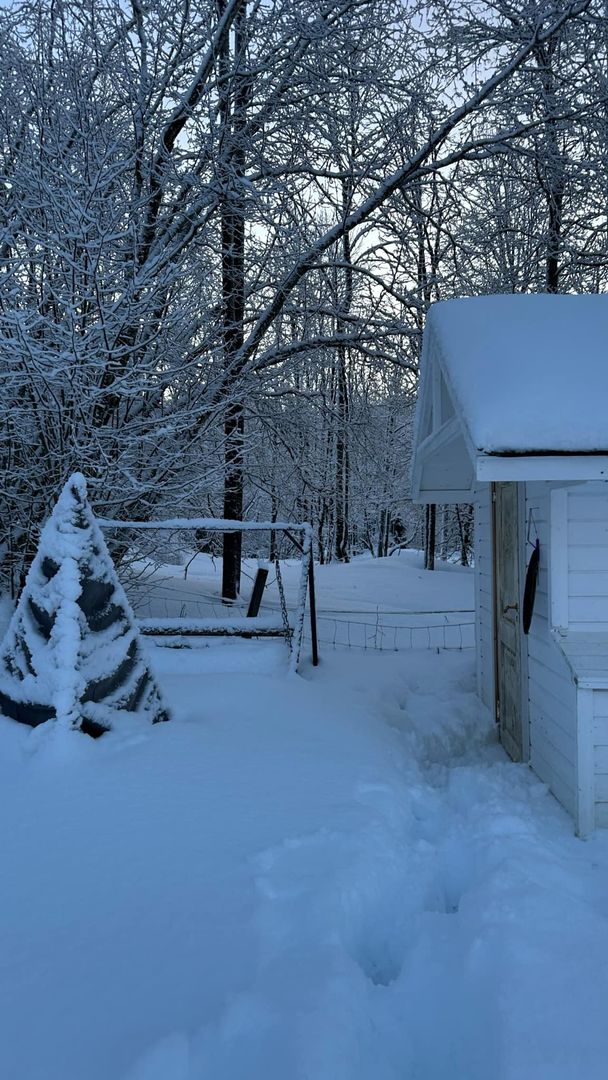 Norwegia pod śniegiem. Czytelniczka o2.pl pokazała zdjęcia