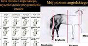 Dziś matura z języka angielskiego. Te MEMY rozbawią cię do łez