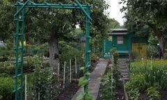 Działka ROD. Jak zostać działkowiczem? Tych formalności należy dopełnić