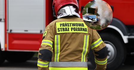 Najpierw groził, potem podpalił tuje. Finał sąsiedzkich sporów